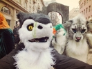 Furries at Saint Patrick's Day (2014)_21