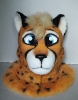 Close-up (Kenta the Cheetah)_1